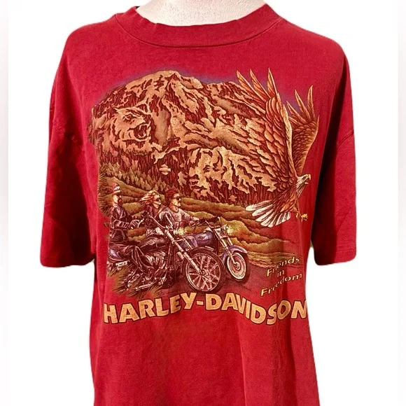 Harley-Davidson "Friends in Freedom" Vintage Lake Shore Waukegan Graphic Tee - Picture 1 of 6